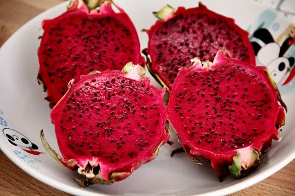 Dragonfruit - Red Variety 5 - 1 lb