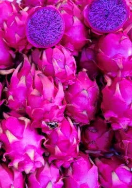 Dragonfruit - Purple Variety 2 - 1 lb