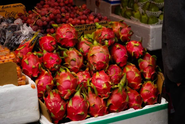 Dragonfruit - Red Variety 3 - 1 lb