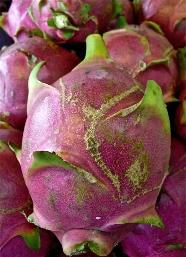 Dragonfruit - Pink Variety 1 - 1 lb