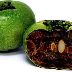 Black Sapote