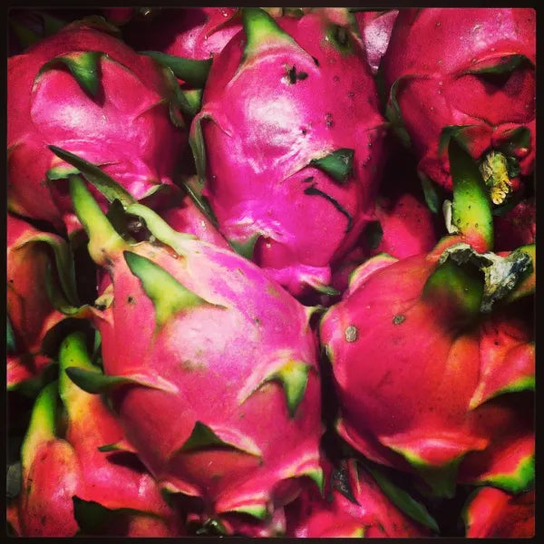 Dragonfruit - Red Variety 2 - 1 lb