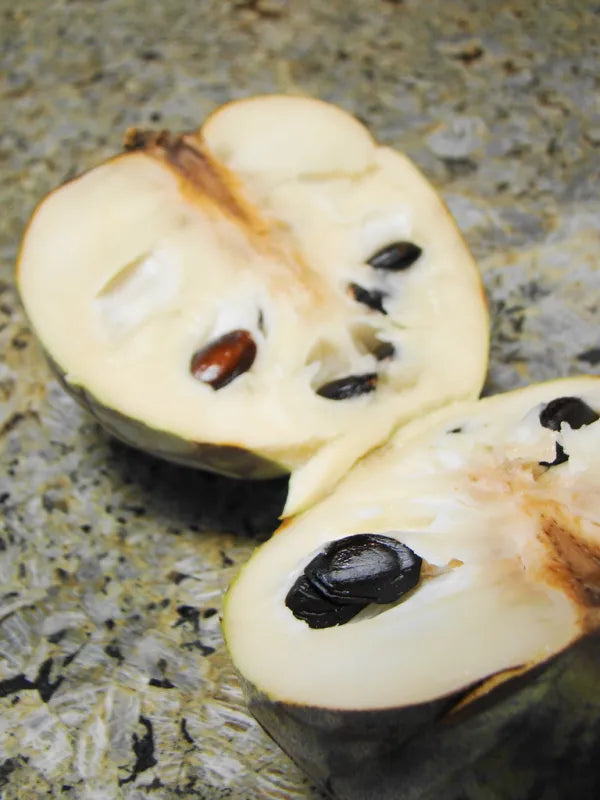 Cherimoya