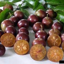 Governors Plum - 1 lb